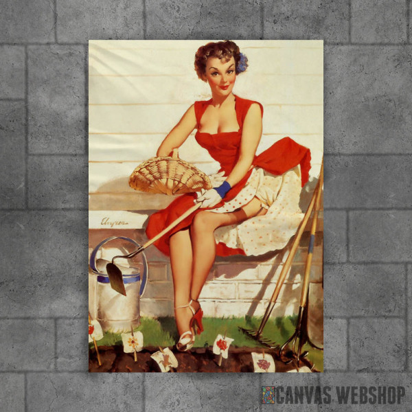 Pin Up Girl