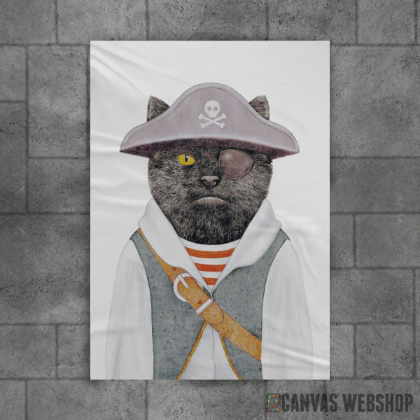 Pirate Cat