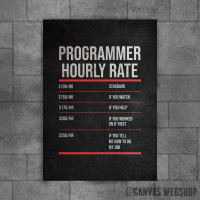 Programmer Hourly Rate