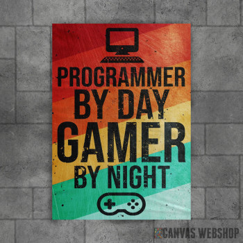 Programmer and Gamer Programmer and Gamer