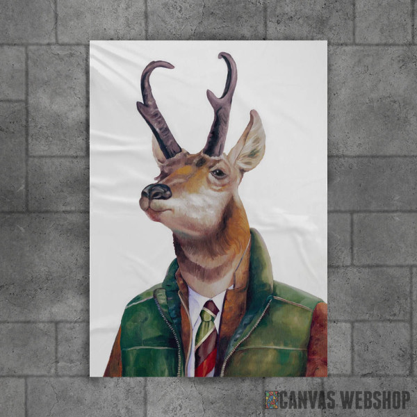 Pronghorn Deer Pronghorn Deer