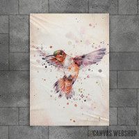 Rufous The Hummingbird