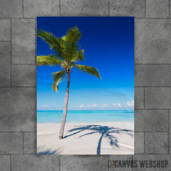 Sandy Palm Beach At Sea Sandy Palm Beach At Sea