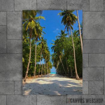 Sandy Palm Way To The Sea Sandy Palm Way To The Sea