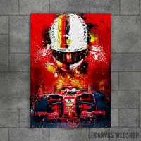 Sebastian Vettel F1