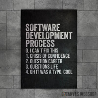 Software Development Software Development