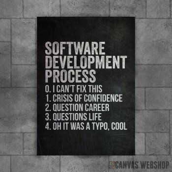 Software Development