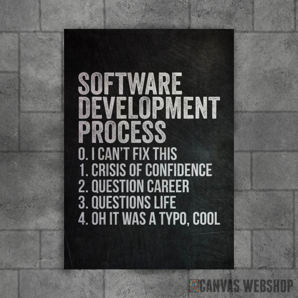 Software Development Software Development