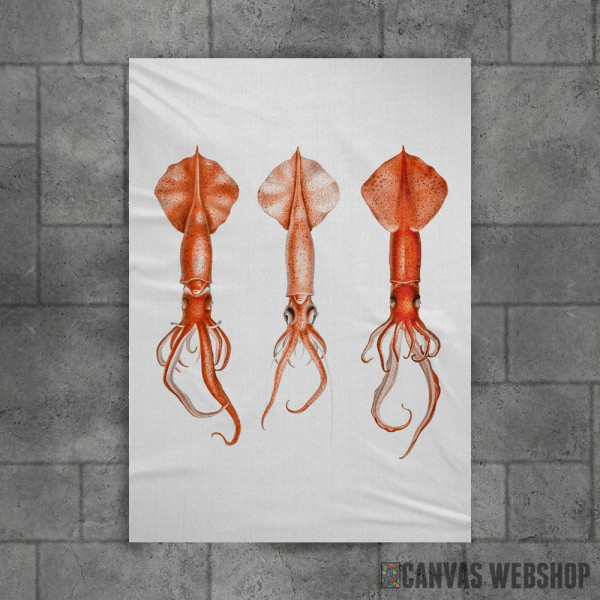 Squids Watercolor Squids Watercolor