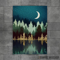 Star Forest Reflection Star Forest Reflection
