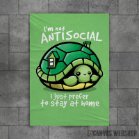 Stay at home turtle Stay at home turtle