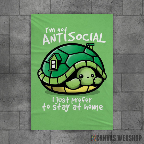 Stay at home turtle Stay at home turtle