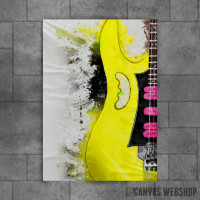 Steve Vai_s Guitar