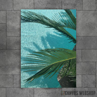 Summer Palm Summer Palm