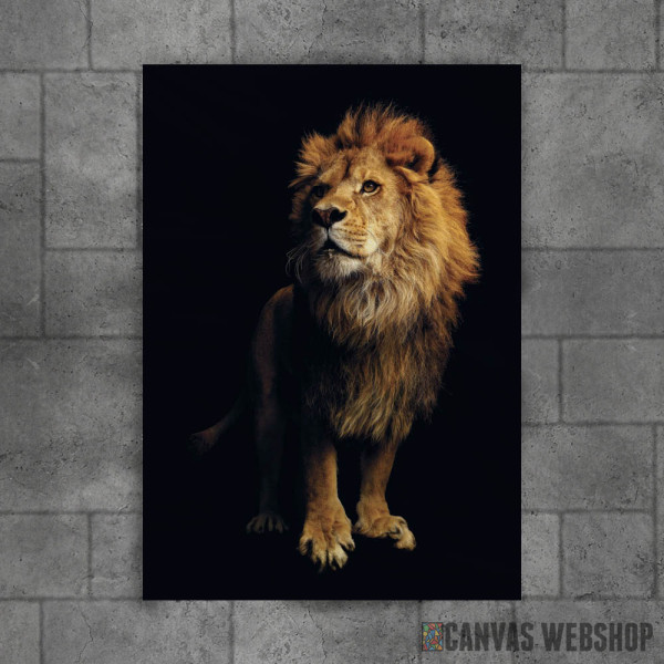 The Lion The Lion