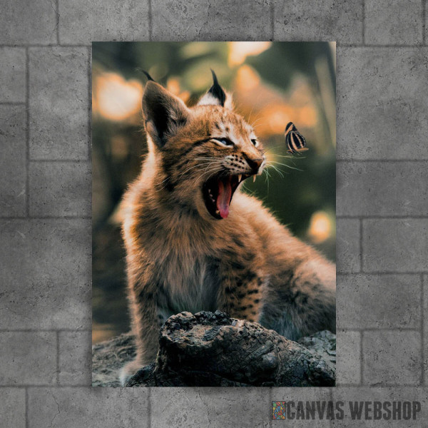 The Lynx Cub and Butterfly The Lynx Cub and Butterfly
