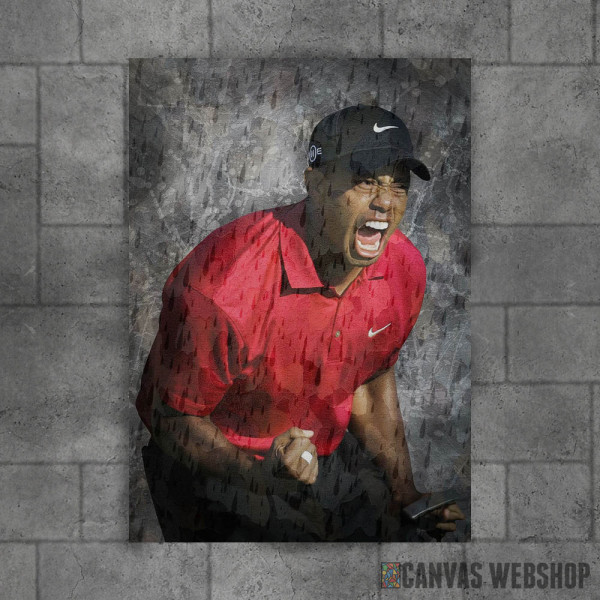 Tiger Woods Championship