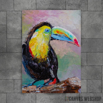 Toucan bird Toucan bird