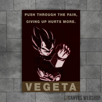 Vegeta Dragon Ball Z Vegeta Dragon Ball Z