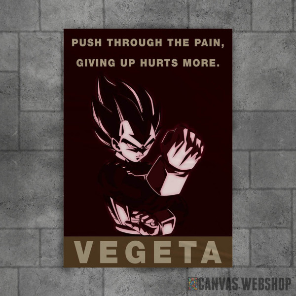 Vegeta Dragon Ball Z