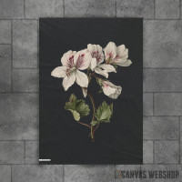 Vintage illustration of flowers 2 Vintage illustration of flowers 2