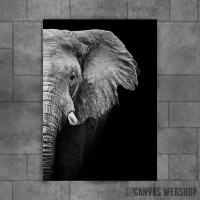 Wild Elephant head Wild Elephant head