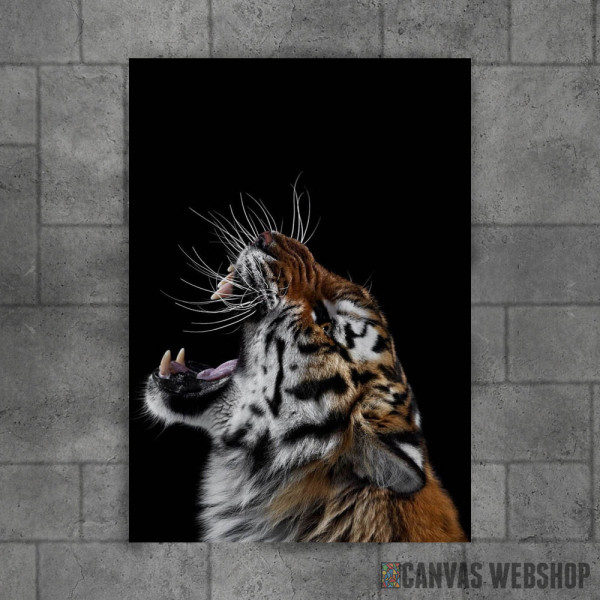 angry wild tiger
