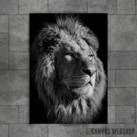 black lion king black lion king