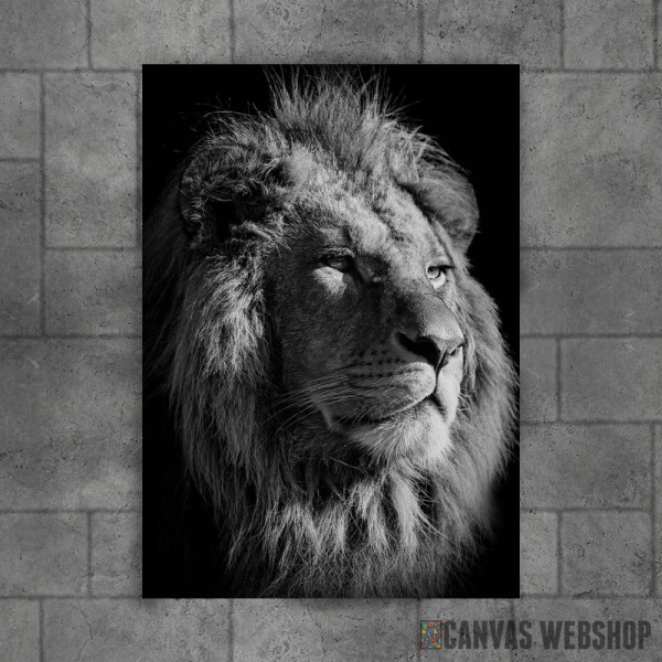 black lion king