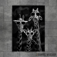 cool Giraffes cool Giraffes