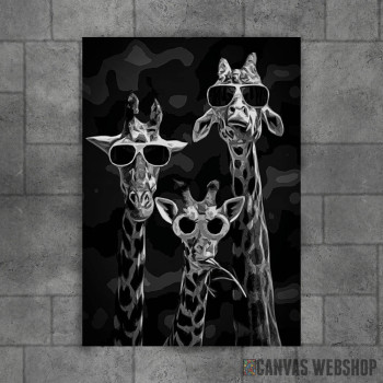 cool Giraffes cool Giraffes