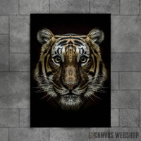 cool Tiger face cool Tiger face