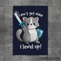 level up cat