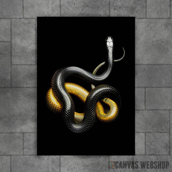 snake black and yellow snake black and yellow