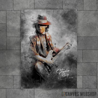 stevie ray vaughan