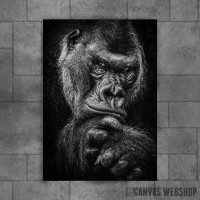wild gorilla wild gorilla