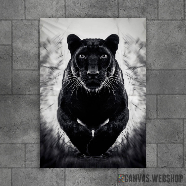wild jumping black panther wild jumping black panther