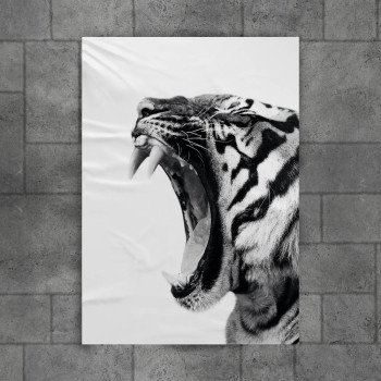 wild roar tiger