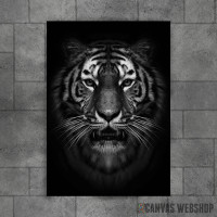 wild tiger head wild tiger head