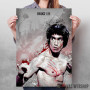 BRUCE LEE THE DRAGON BRUCE LEE THE DRAGON