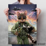 Cat the Air Force Pilot Cat the Air Force Pilot