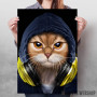 DJ Kitty