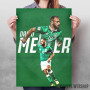 David Meyler Poster David Meyler Poster