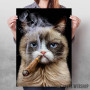 Disgruntle Cat with Cigar