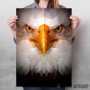 Eagle Eagle