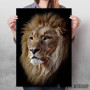 East African lion head East African lion head