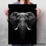 Elephant head art