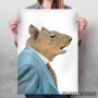 Grey Squirrel Grey Squirrel