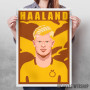 Haaland