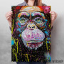 I m chimp